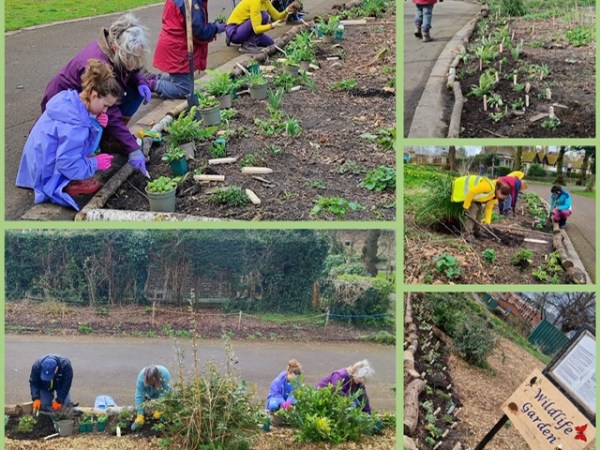 Go Wild needs&nbsp;you!