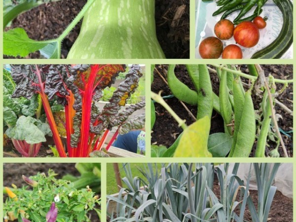 Let’s get GROWing! Sun 4th Jan&nbsp;11am