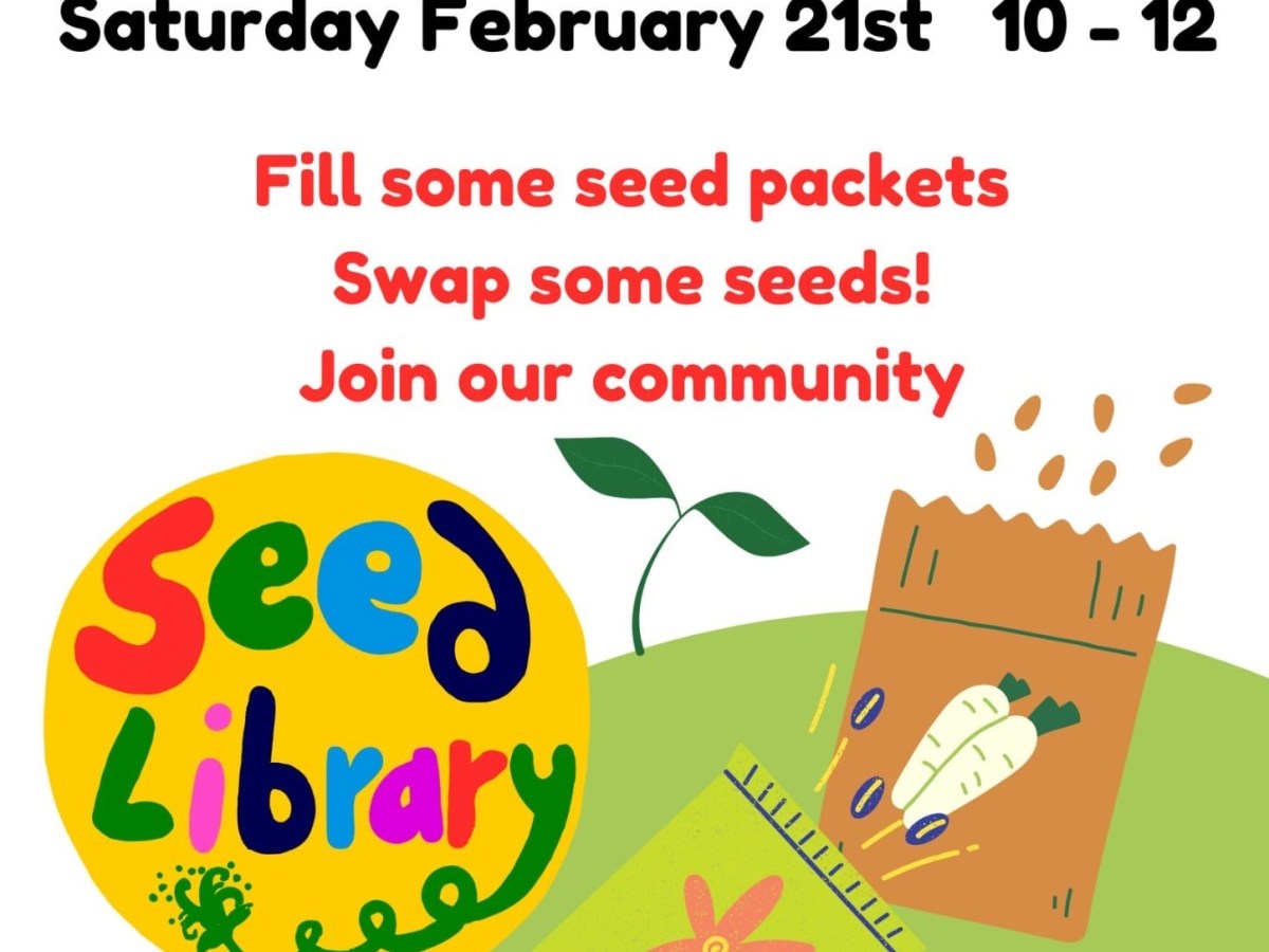 Seed Swap Sat 21st Feb 10 –&nbsp;12