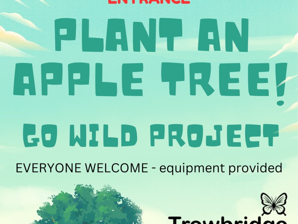 This Saturday! Go Wild in Trowbridge&nbsp;Park