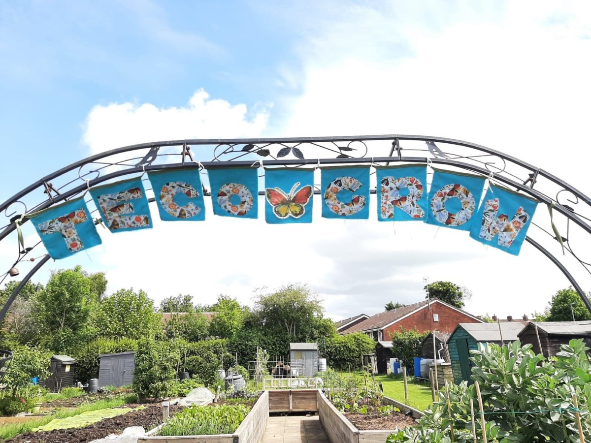 GROW Open Beds Sat 4th July 11 –&nbsp;12